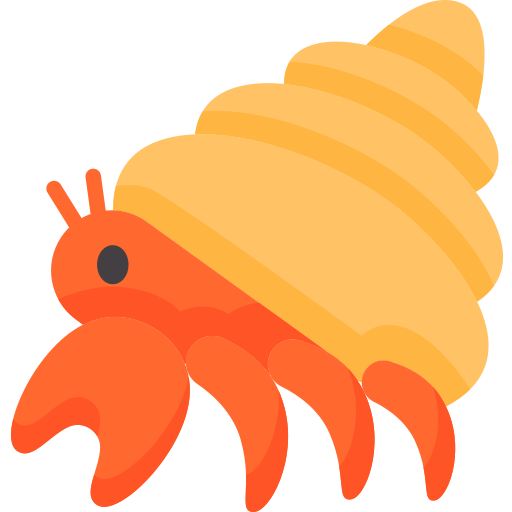 028-hermit crab