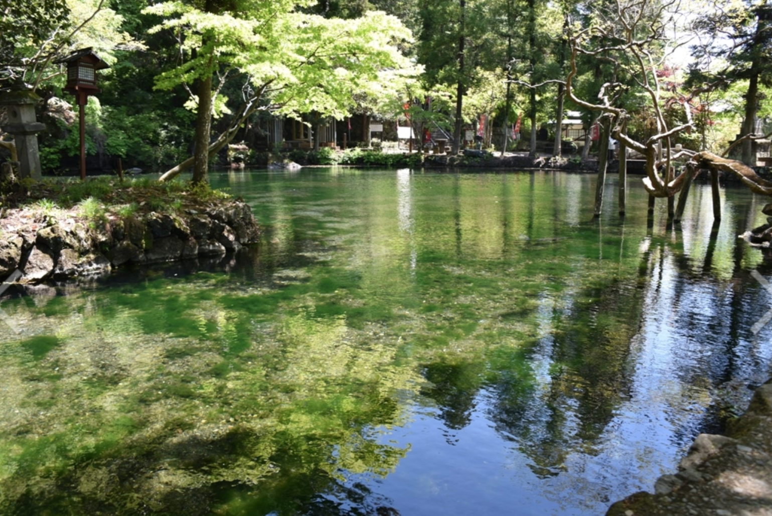 出流原弁天池湧水