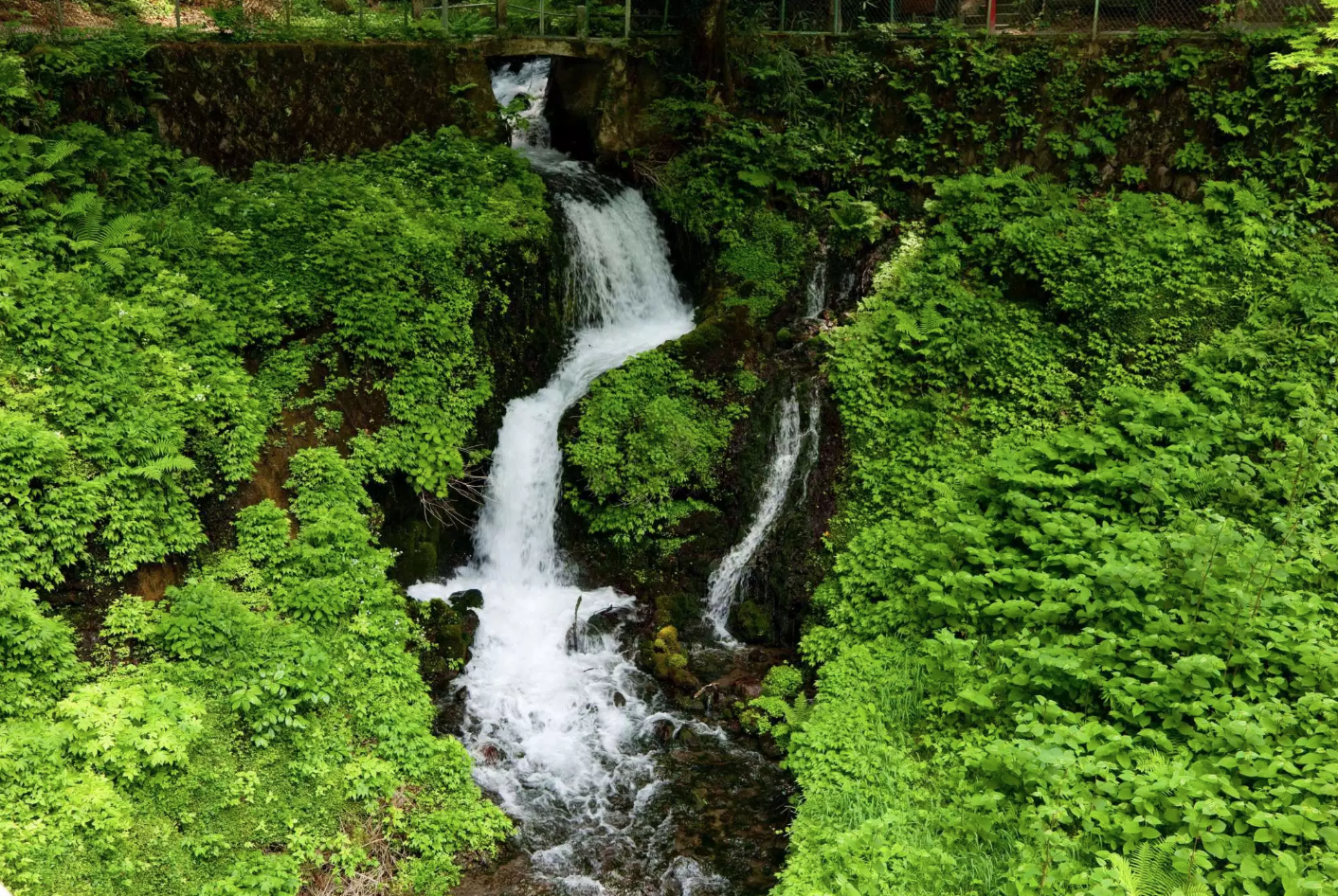 箱島湧水